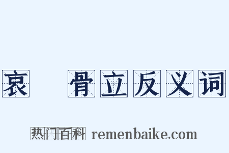哀毀骨立反义词是什么意思的图片